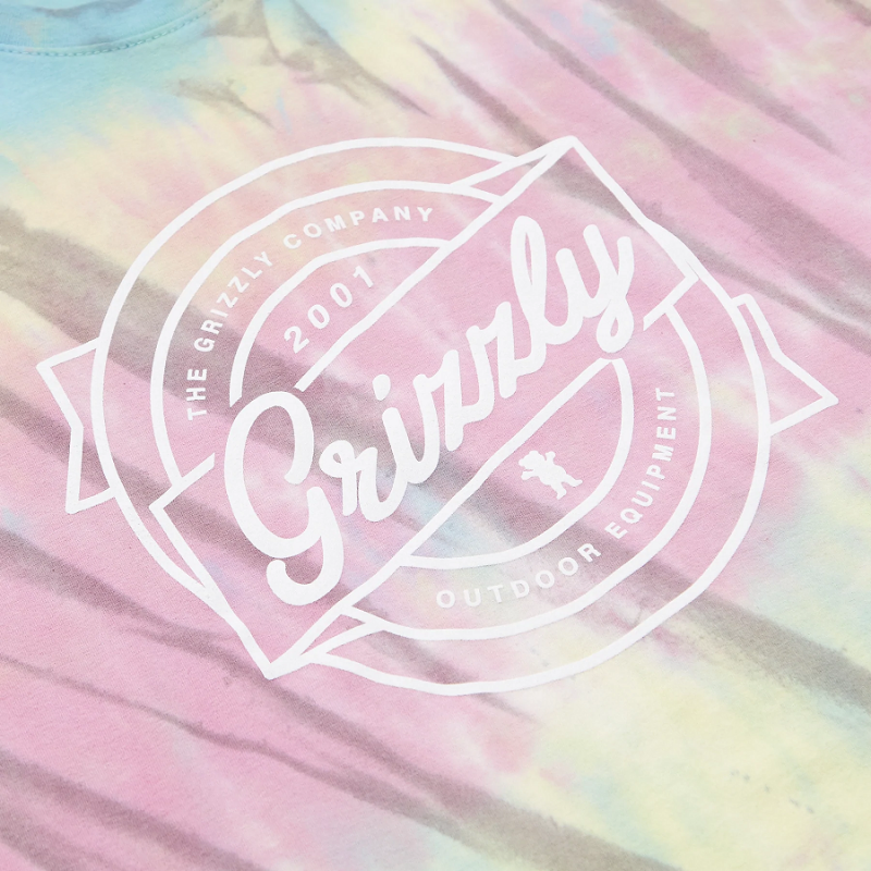 Polera Grizzly Modelo Sealed And Delivered Tie Dye S24